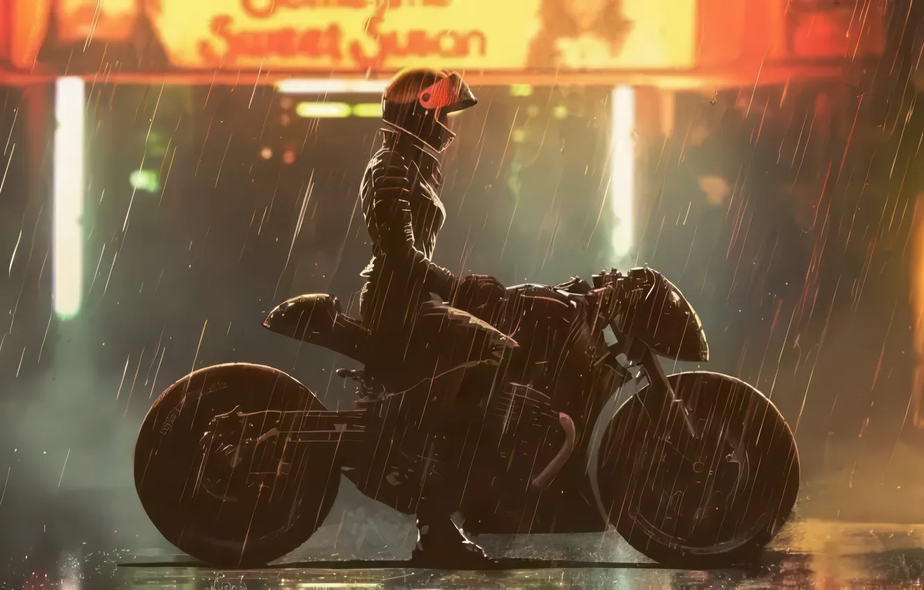 Фото обои bike, catwoman, confident