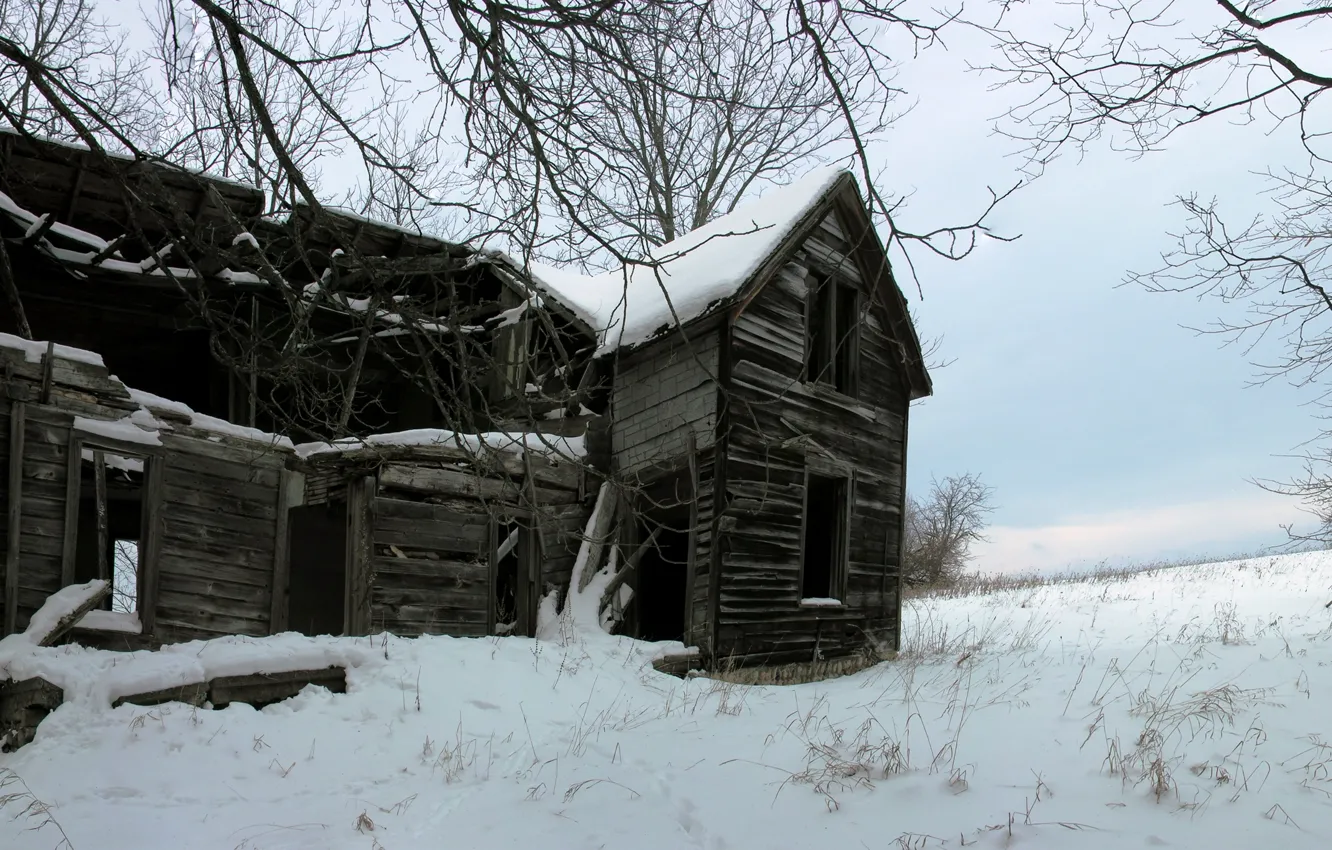 Фото обои зима, лес, снег, дом, заброшенный, house, хижина, abandoned