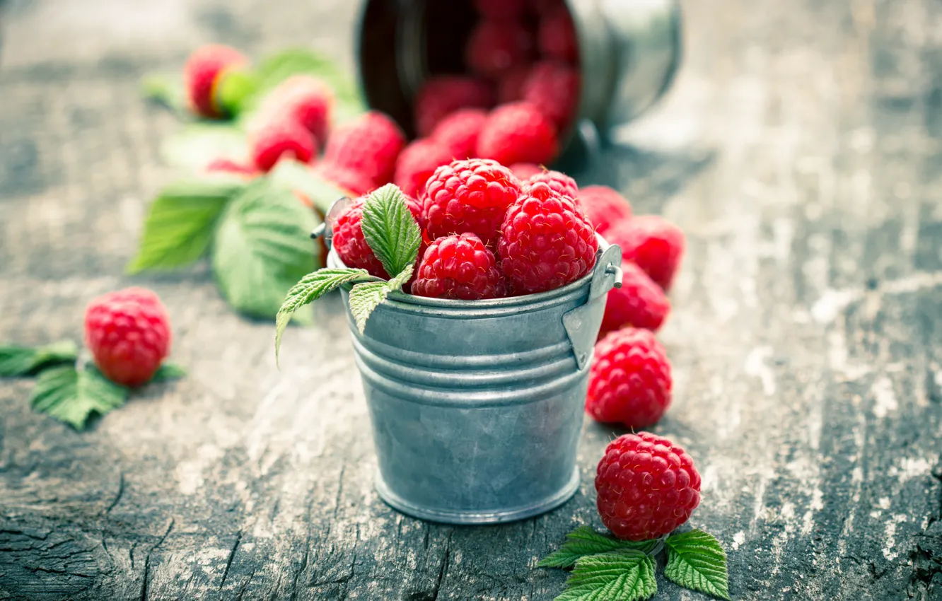 Фото обои ягоды, малина, fresh, wood, berries, raspberry