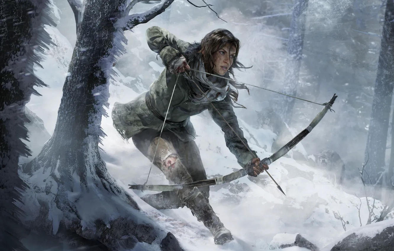 Фото обои Tomb Raider, Snow, Lara croft
