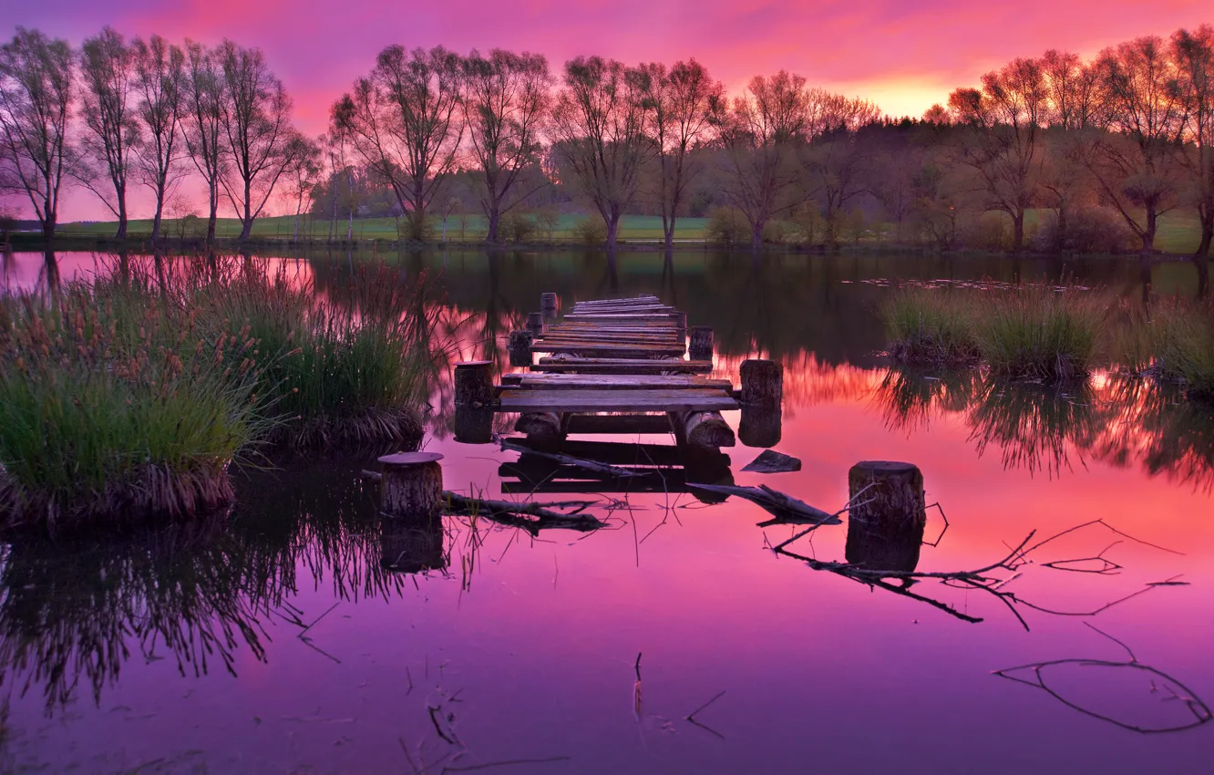 Фото обои деревья, закат, озеро, отражение, пирс, trees, sunset, lake