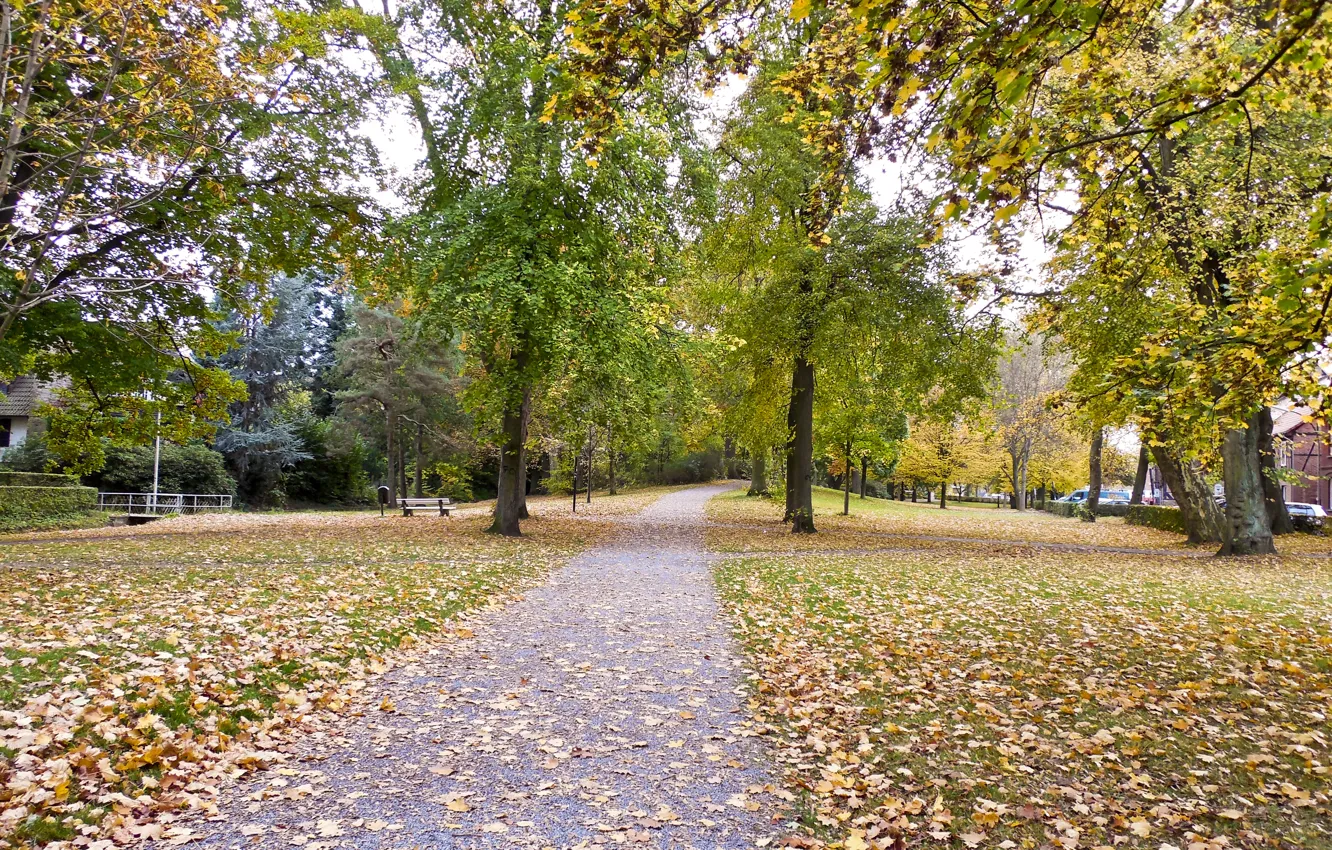 Фото обои осень, парк, листва, дорожка, park, Autumn, leaves, path