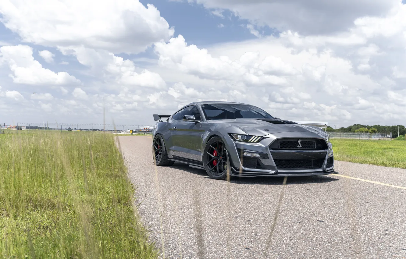 Фото обои Mustang, Shelby, GT500, ford, Ford Mustang, car.supercar