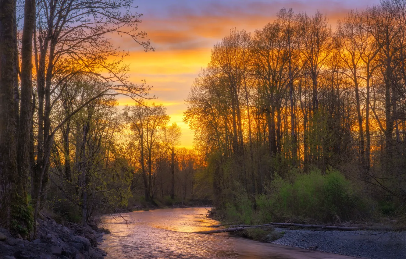Фото обои Sunset, River, Cedar