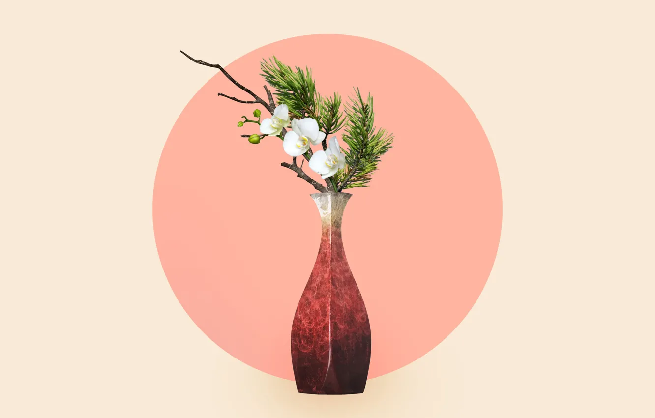 Фото обои Япония, ваза, орхидея, сосна, икебана, japanese art, by Pyrus-acerba, нагэирэ