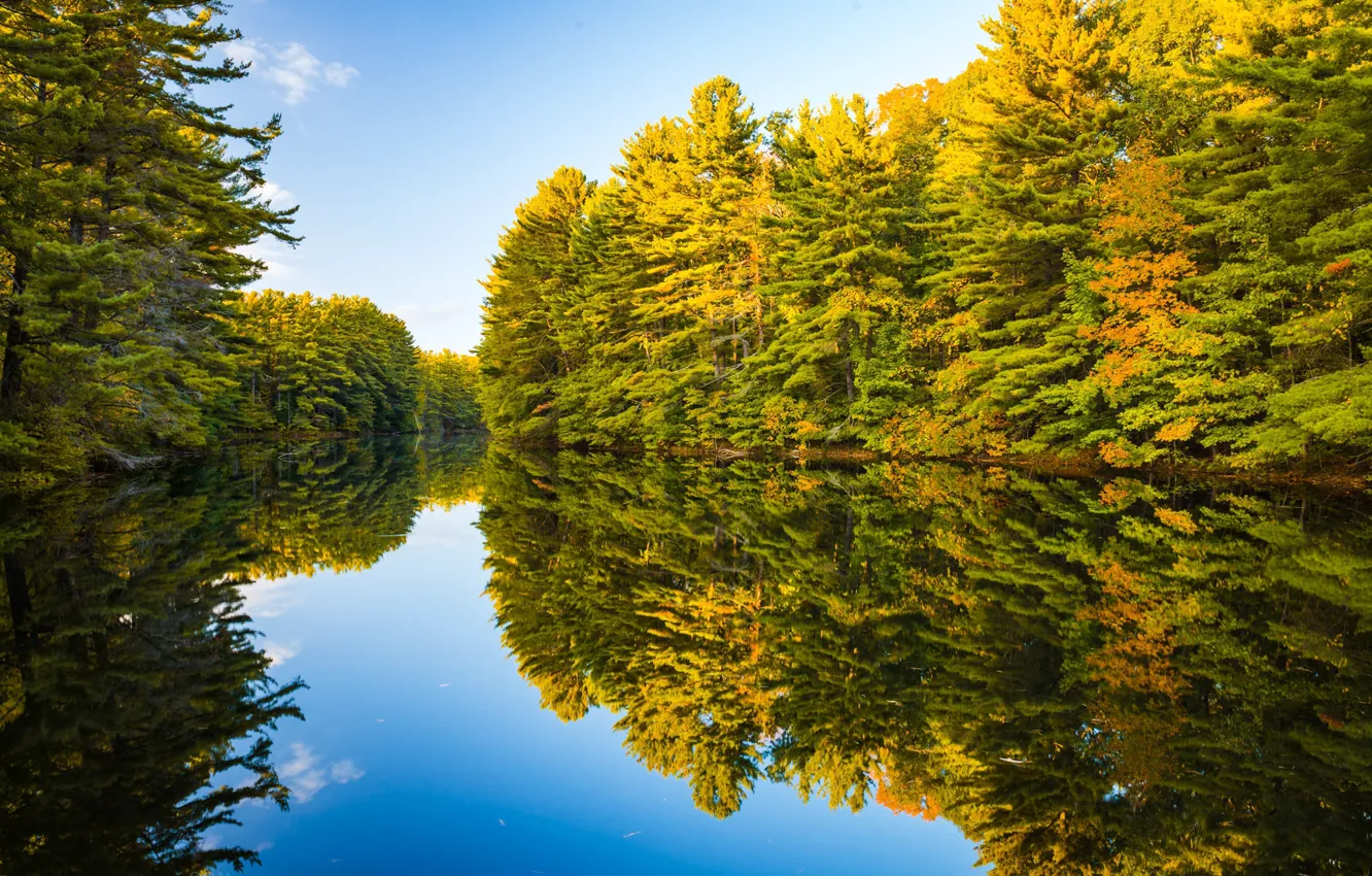 Фото обои осень, лес, Природа, Озеро