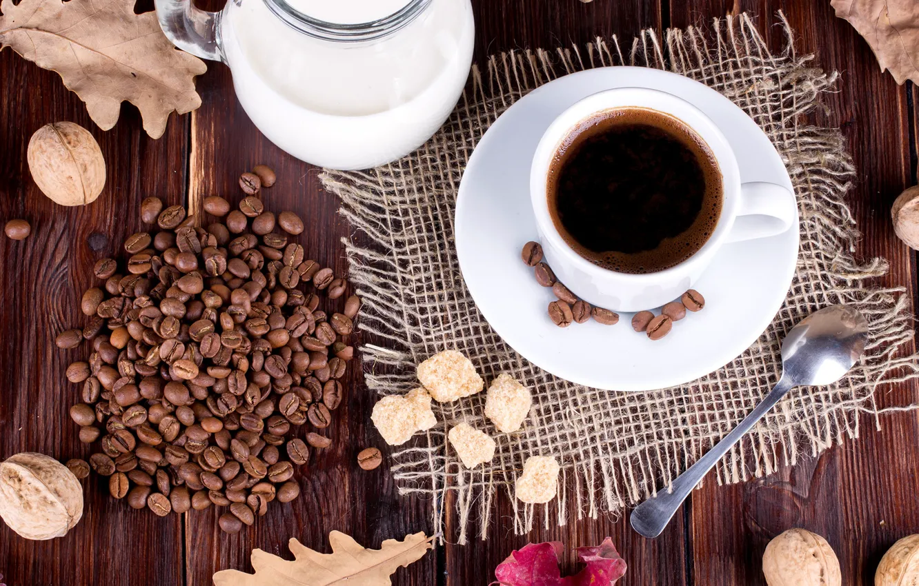 Фото обои листья, кофе, зерна, молоко, чашки, орехи, cup, nuts