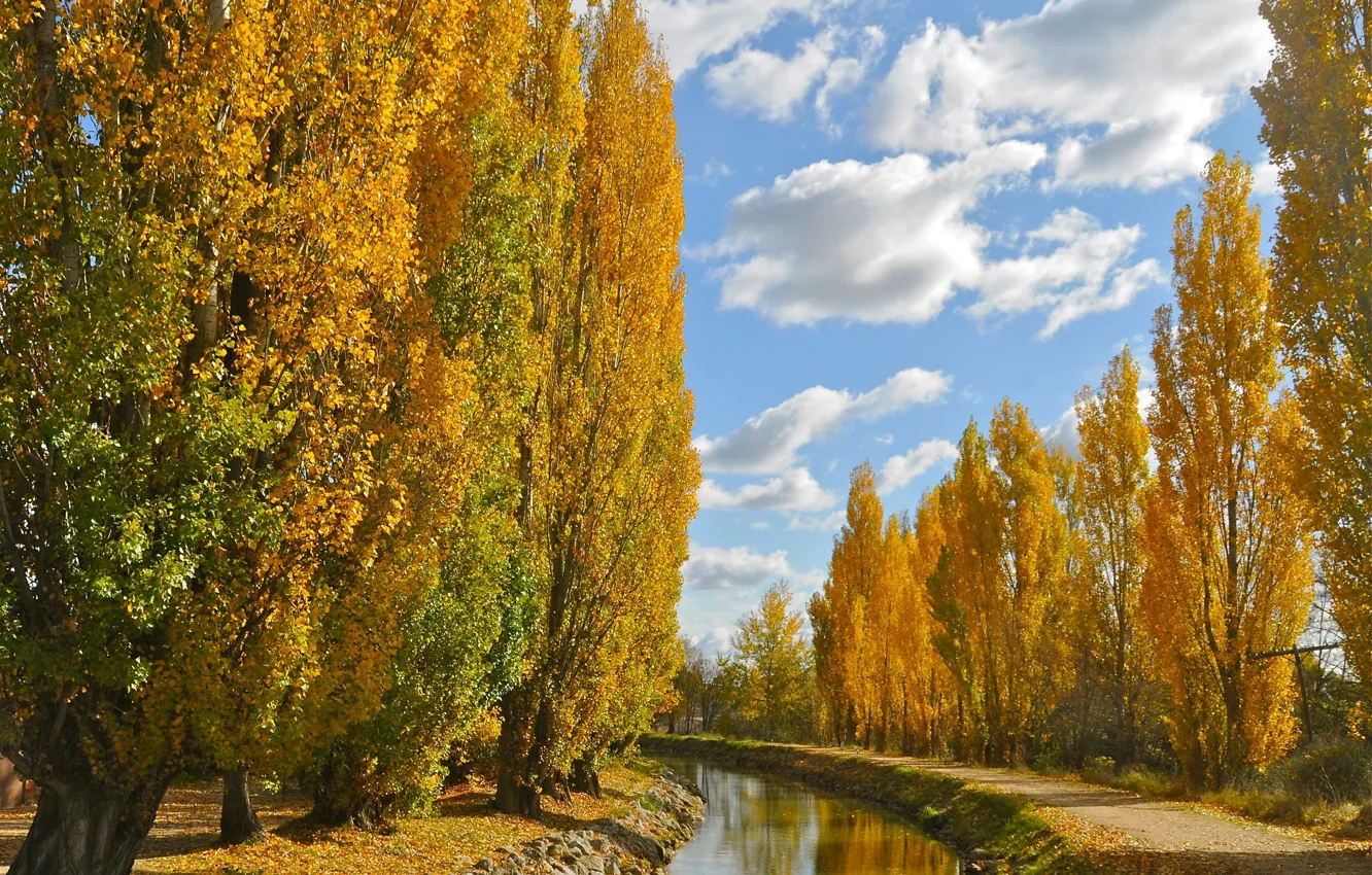 Фото обои осень, небо, деревья, канал