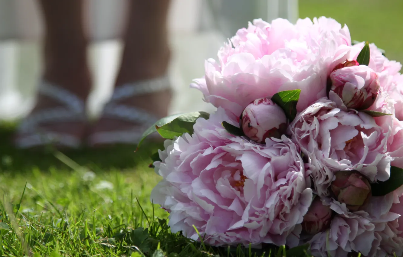 Фото обои цветы, букет, травка, пионы