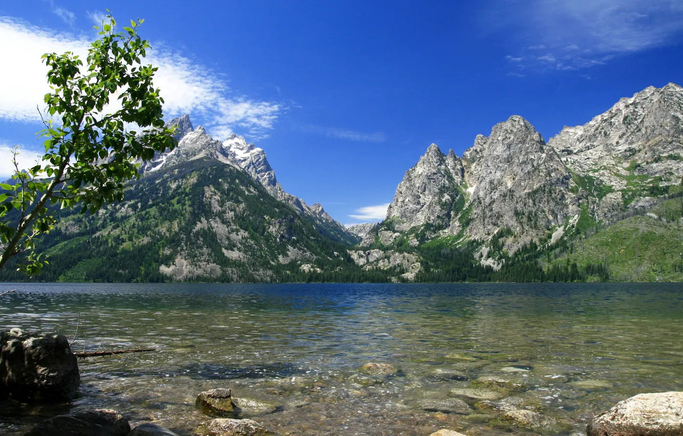 Фото обои природа, река, USA, Wyoming, National Park, Jenny Lake, Grand Teton