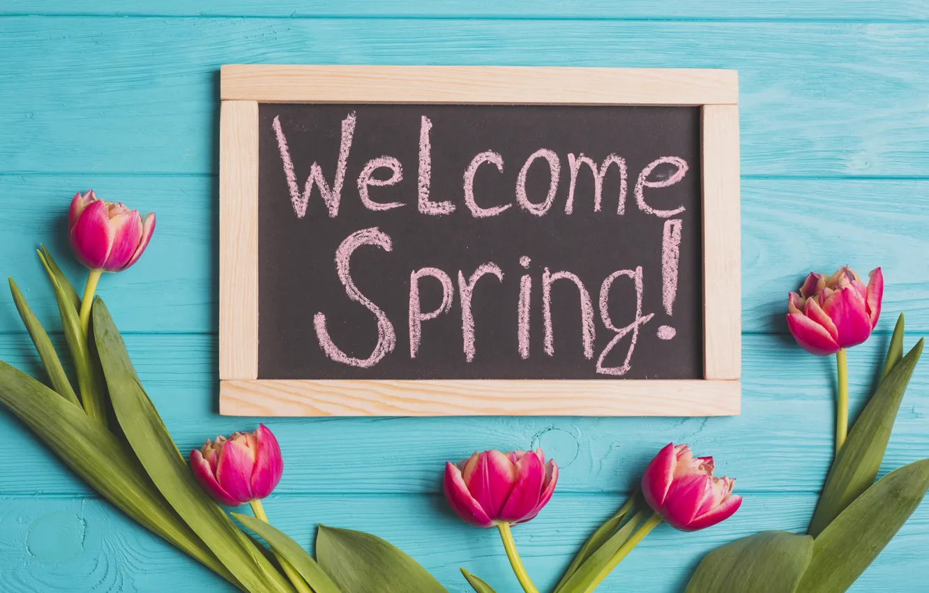 Фото обои цветы, фон, доски, весна, тюльпаны