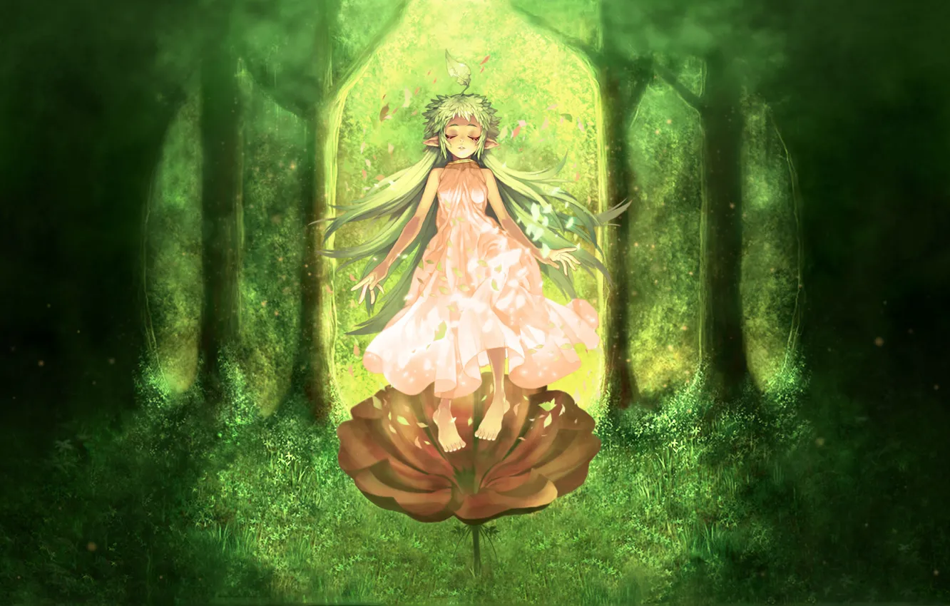Фото обои лес, цветок, трава, эльф, арт, девочка, Аниме, Ragnarok Online