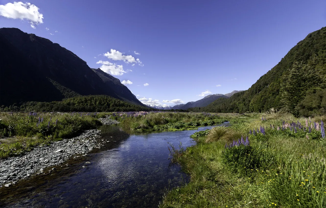 Фото обои пейзаж, горы, природа, парк, ручей, фото, Новая Зеландия, Fiordland
