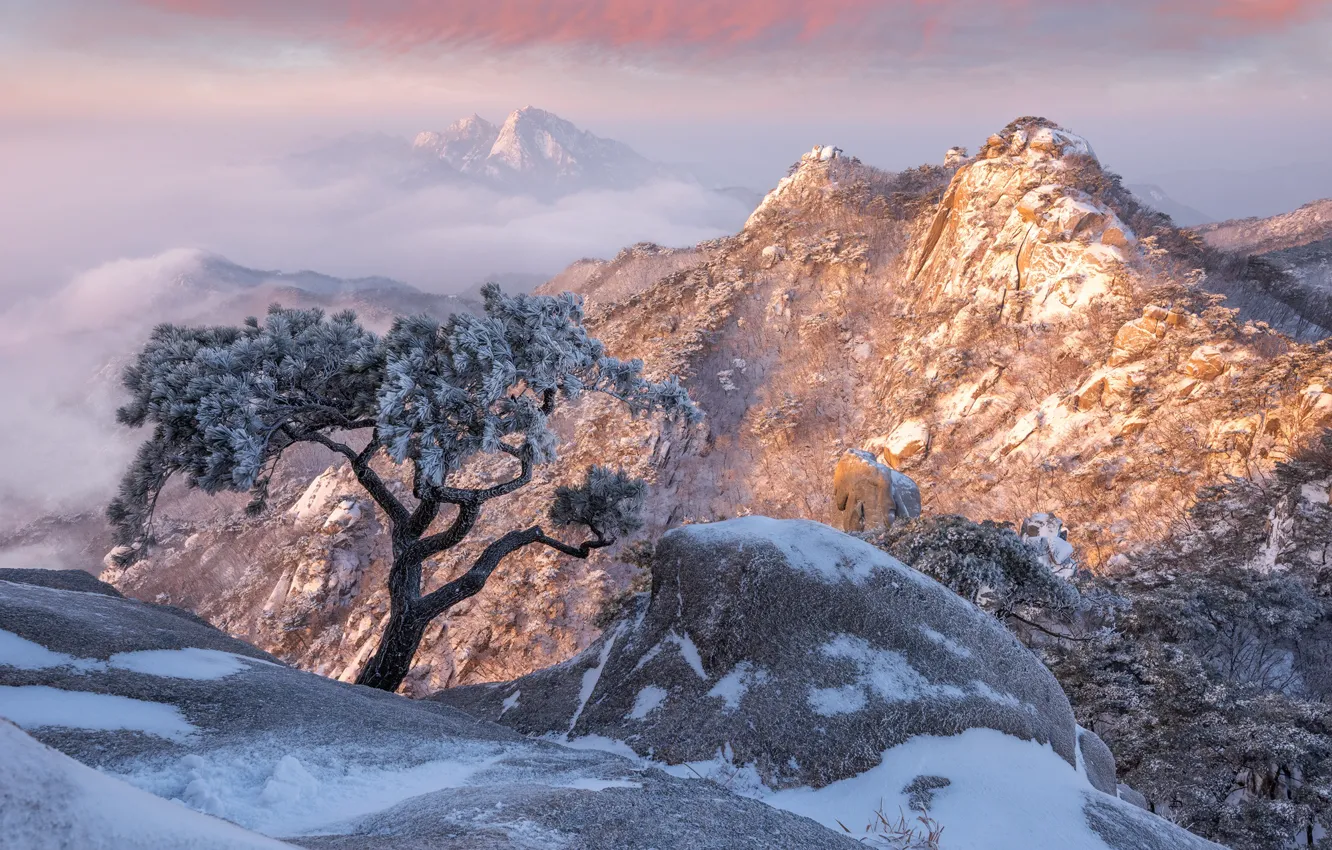 Фото обои зима, облака, снег, пейзаж, горы, природа, дерево, скалы