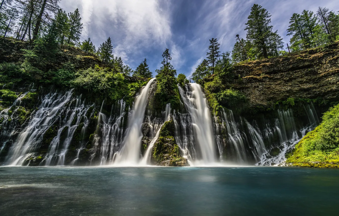 Фото обои лес, лето, небо, вода, облака, деревья, пейзаж, природа