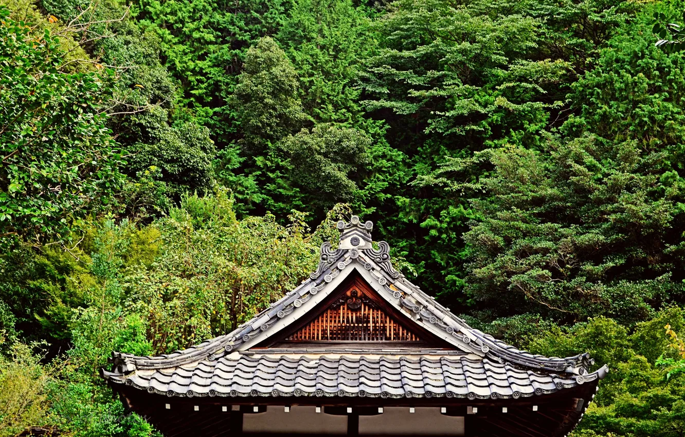 Фото обои крыша, зелень, деревья, Япония, сад, пагода