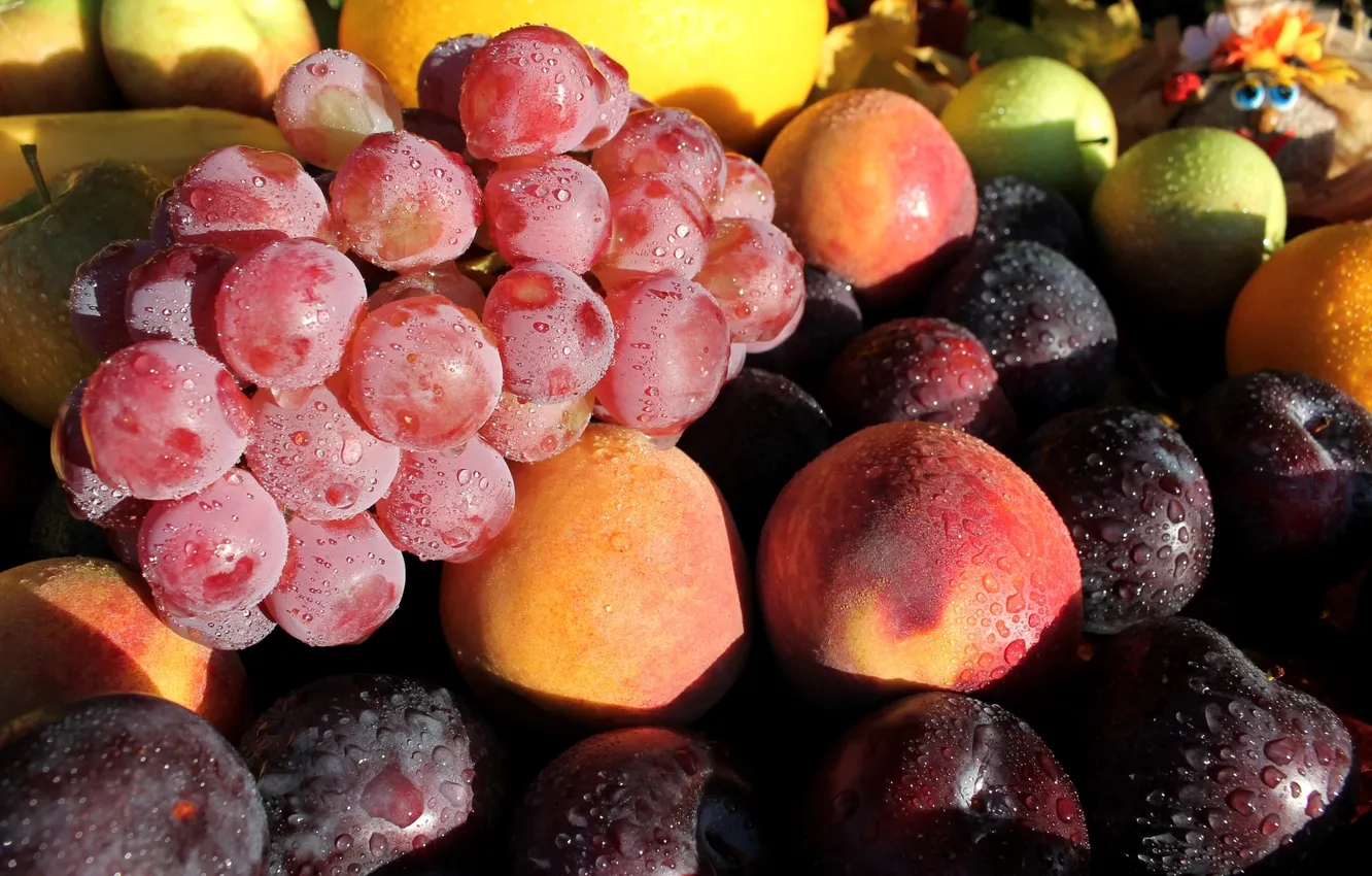 Фото обои виноград, фрукты, персики, сливы