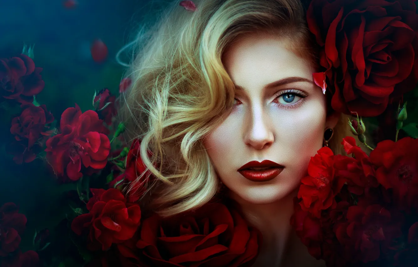 Фото обои взгляд, девушка, цветы, лицо, волосы, розы, макияж, губы