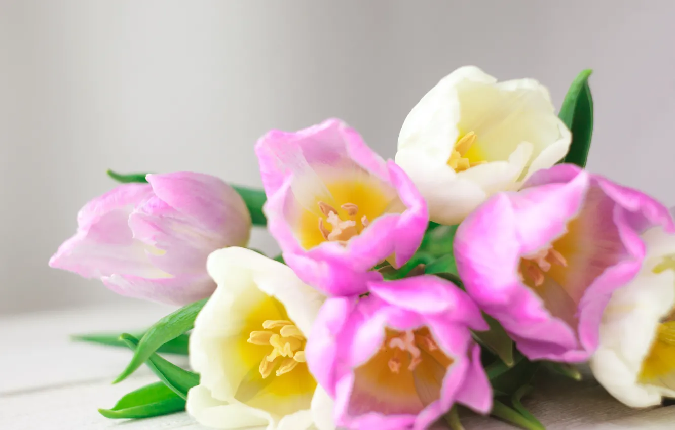 Фото обои цветы, букет, тюльпаны, love, розовые, white, fresh, pink