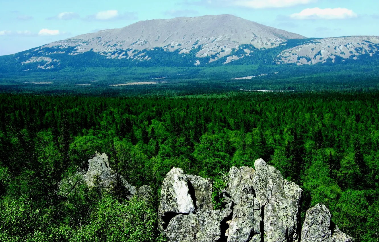 Фото обои лес, гора, Башкирия, Башкортостан, Иремель