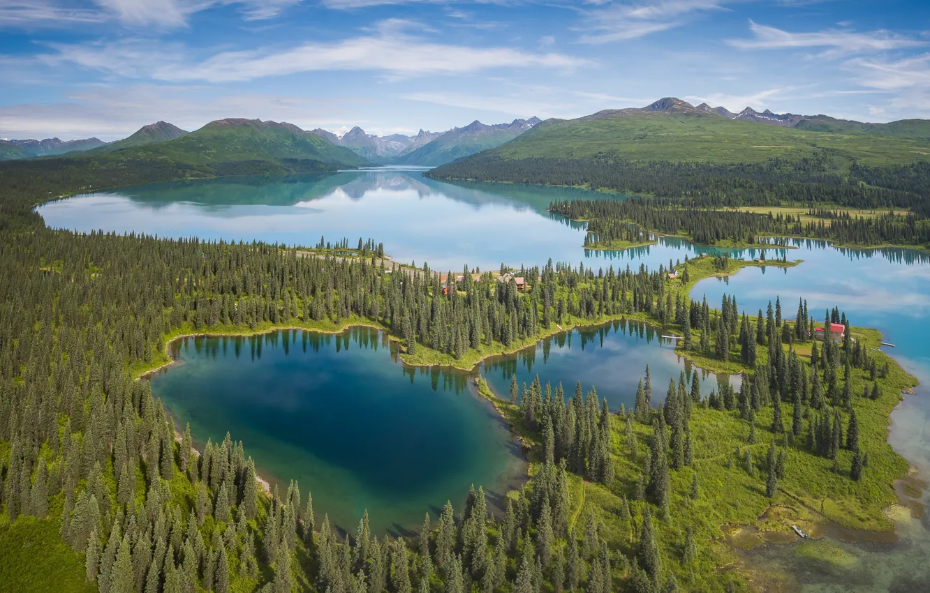 Фото обои лес, горы, озеро, Аляска, панорама, Alaska, Аляскинский хребет, Alaska Range
