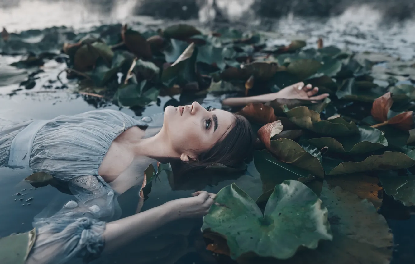 Фото обои взгляд, листья, вода, девушка, природа, лицо, поза, озеро