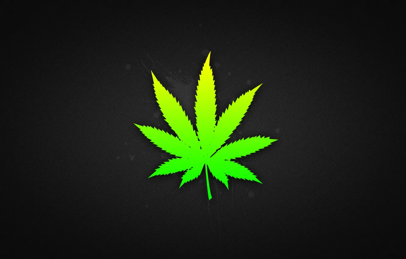 Фото обои листья, травка, марихуанна