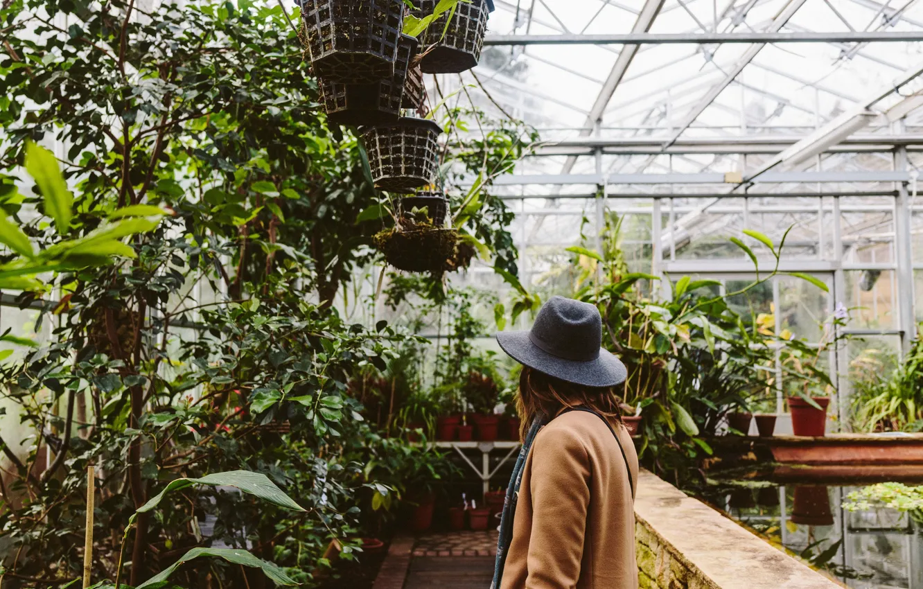 Фото обои девушка, растения, шляпа, оранжерея