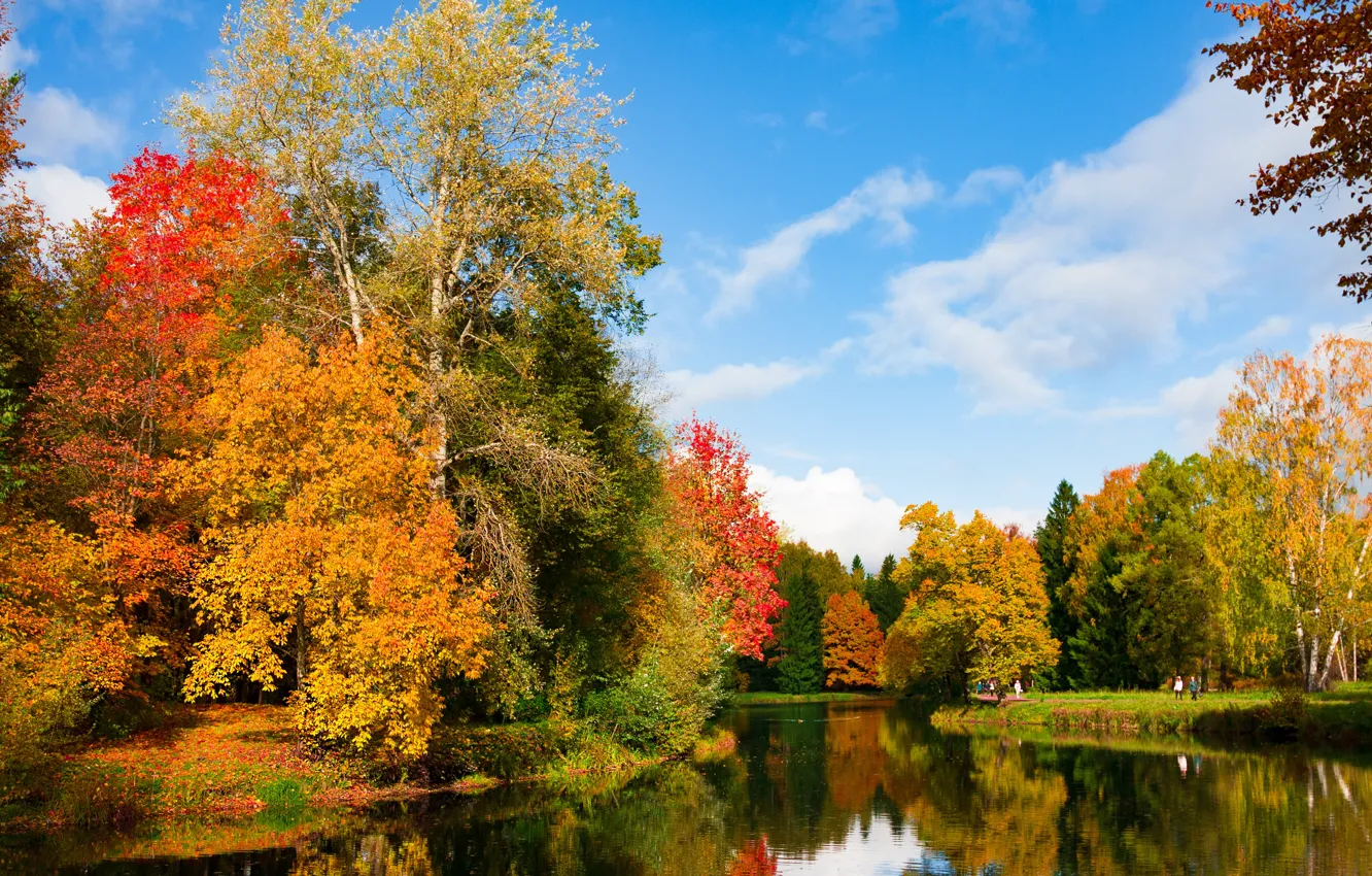 Фото обои осень, листья, деревья, парк, река, colorful, river, nature