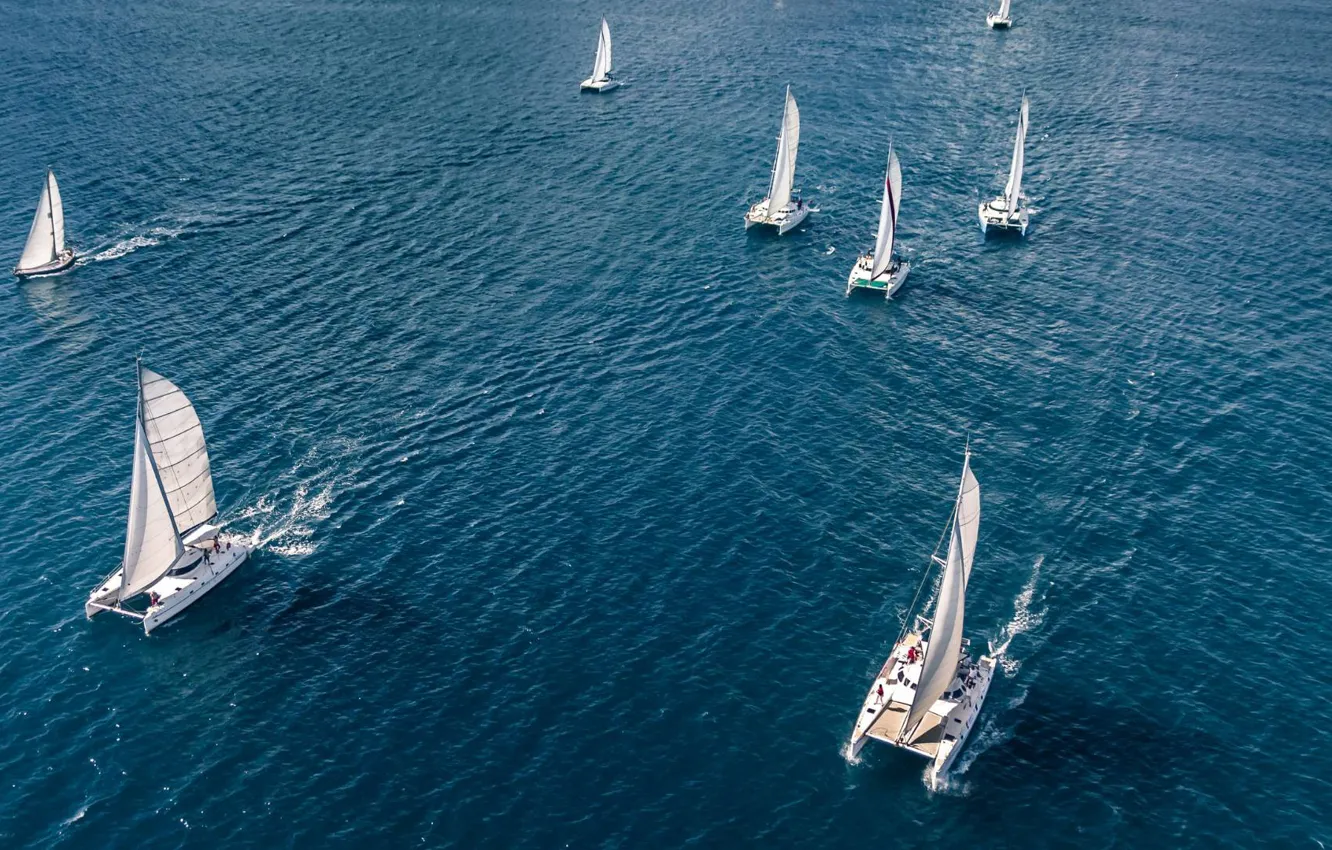 Фото обои море, спорт, сверху, регата, Панаш, sailing catamarans, Panache, парусные катамараны
