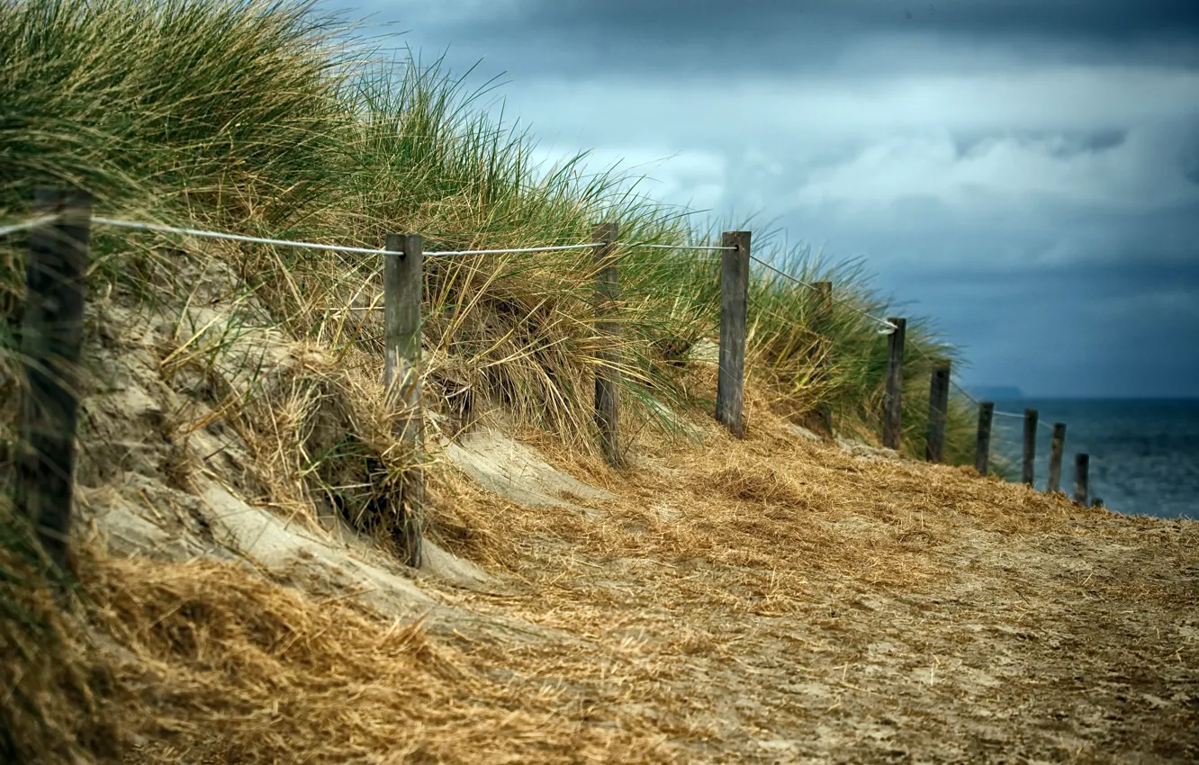 Фото обои пляж, забор, дюны