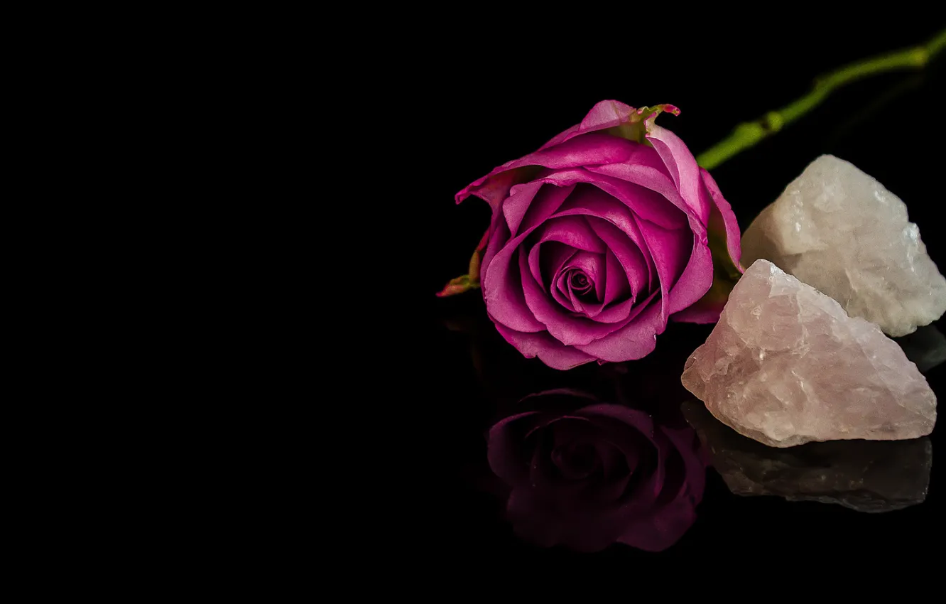 Фото обои роза, бутон, минералы
