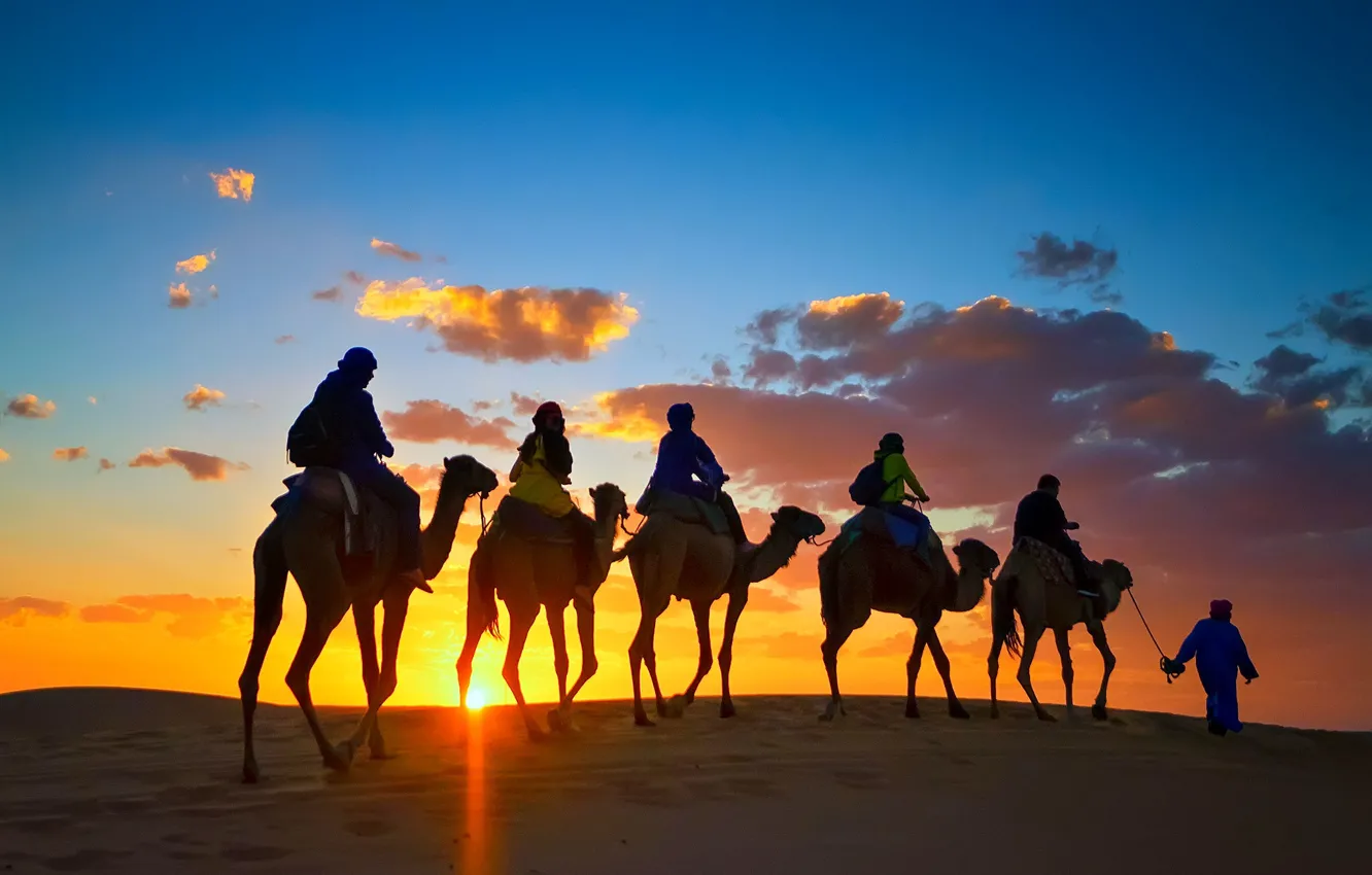 Фото обои пустыня, верблюды, караван, Сахара