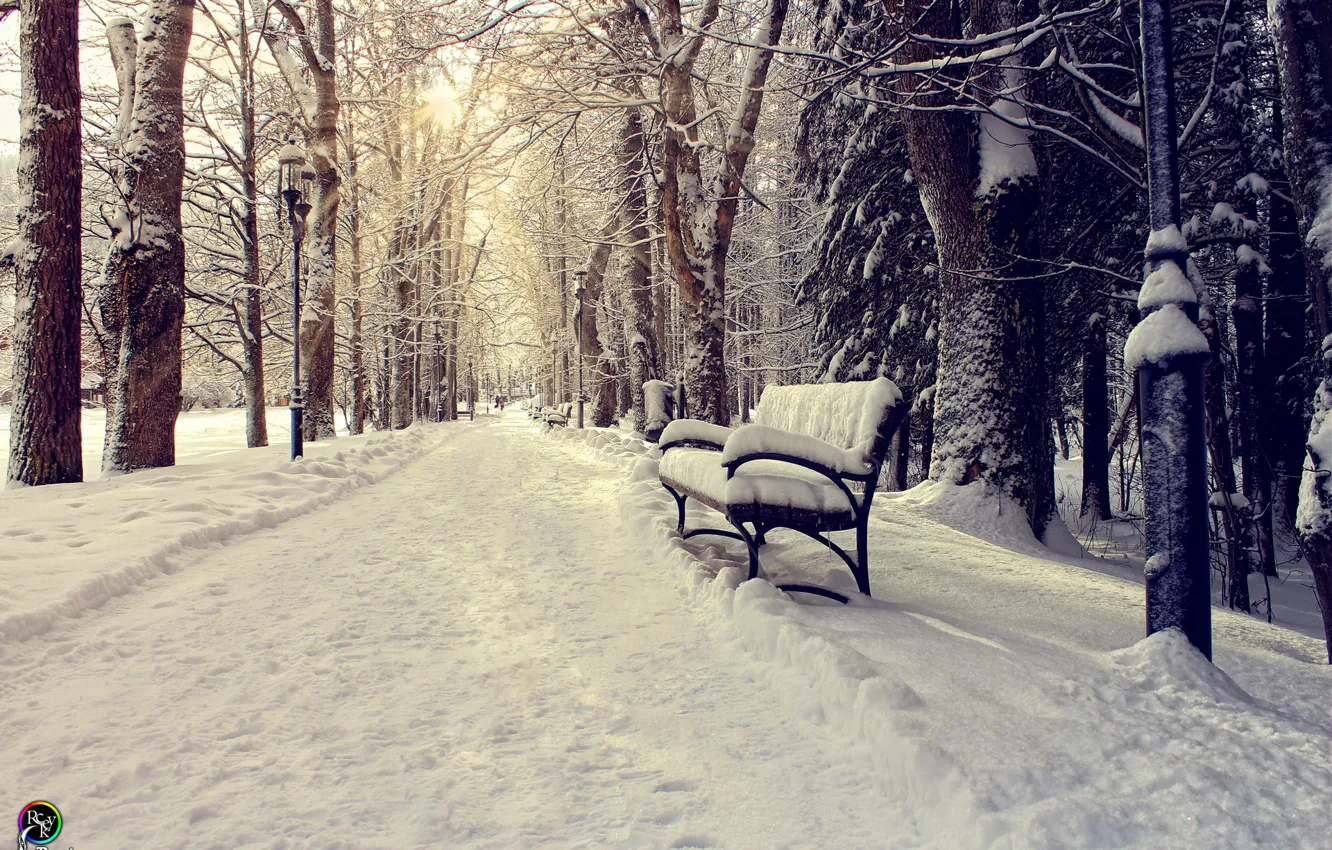 Фото обои зима, солнце, снег, скамейка, парк, Pavel Nazarenko