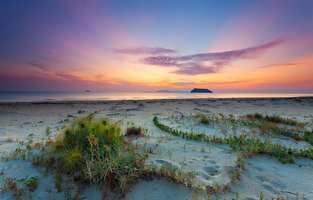 Фото обои песок, пляж, пейзаж, природа, океан, рассвет, растения, Malaysia