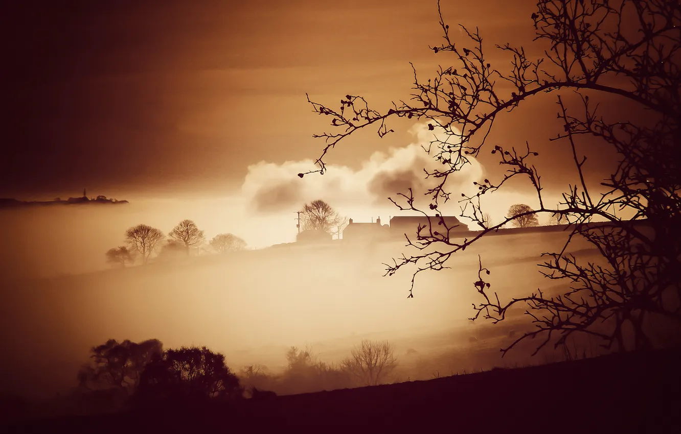 Фото обои поле, деревья, туман, дом, склон, холм