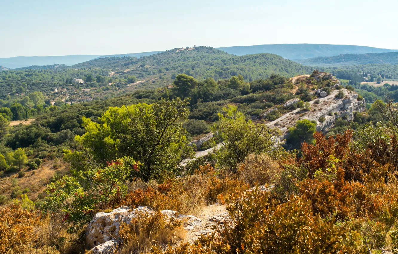 Фото обои лес, деревья, горы, камни, Франция, солнечно, кусты, Provence