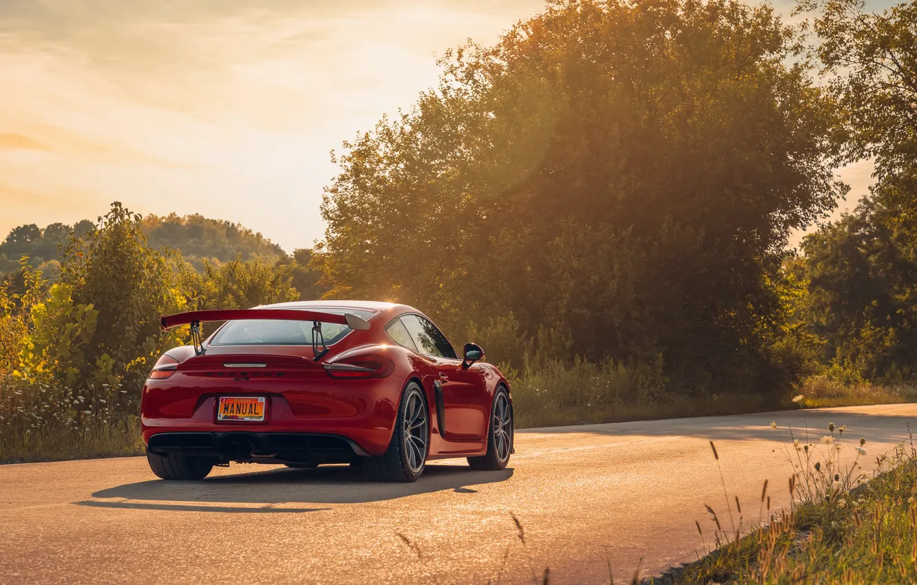 Фото обои headlights, Porsche, field, car, sunlight, GT4, road, Taillights