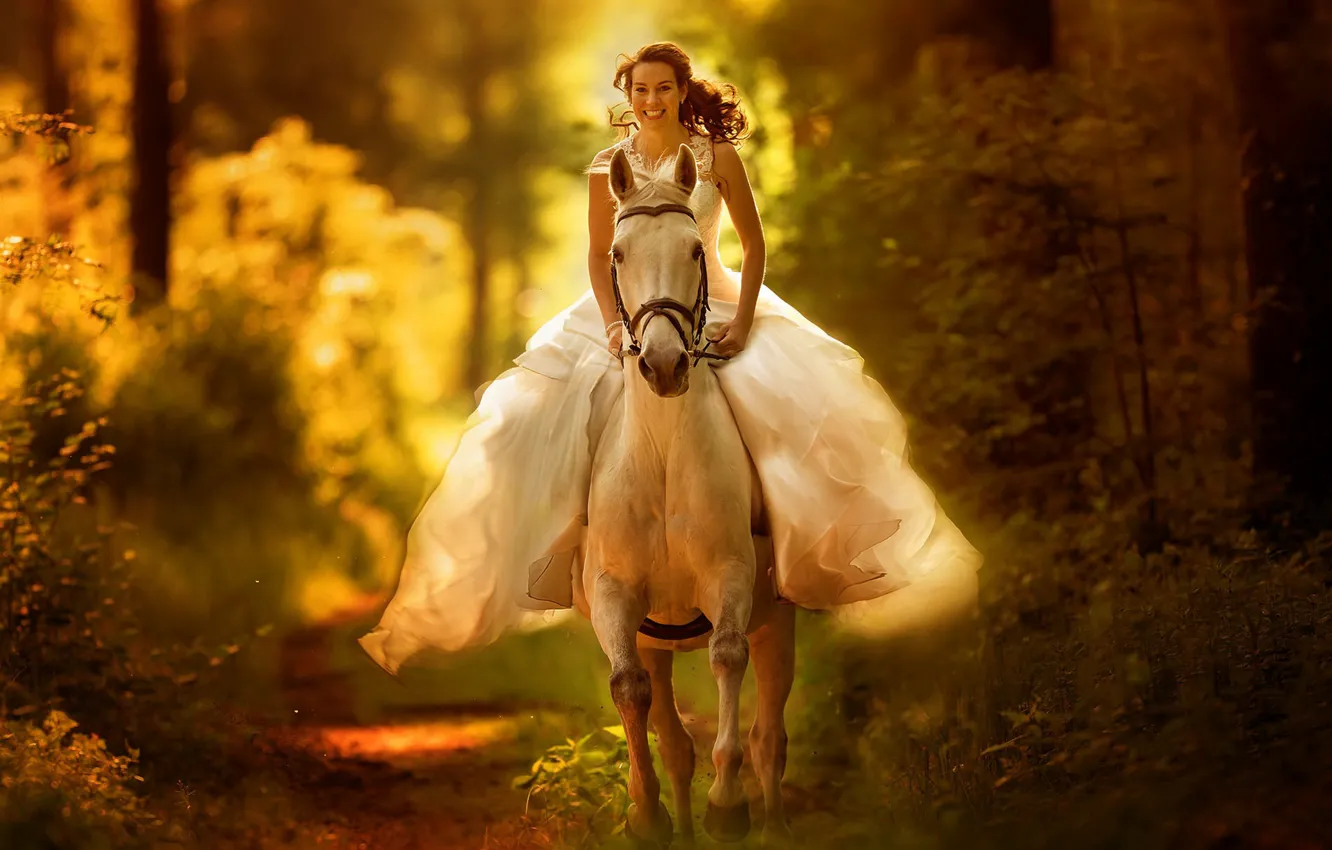Фото обои осень, лес, девушка, природа, конь, невеста