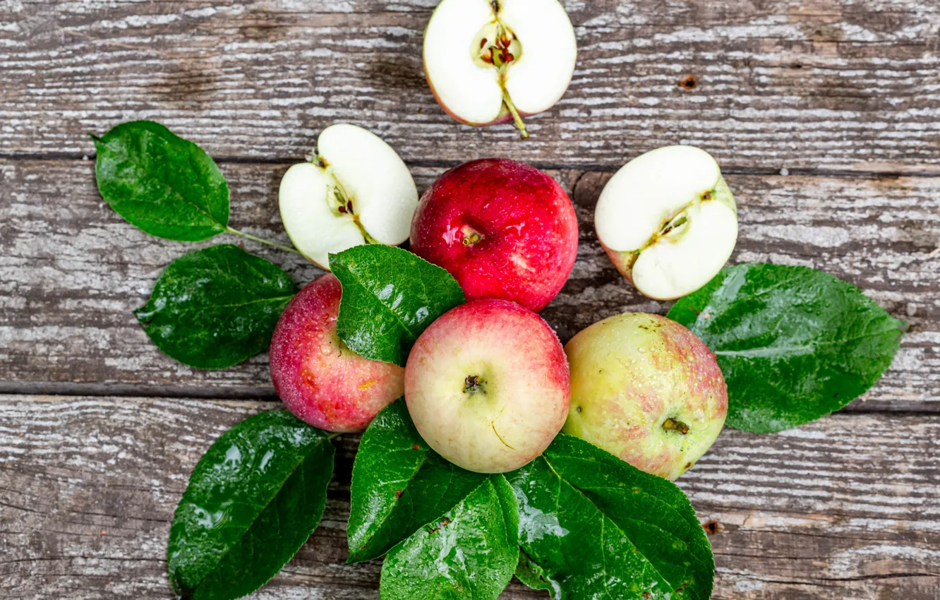 Фото обои листья, яблоки, урожай, плод