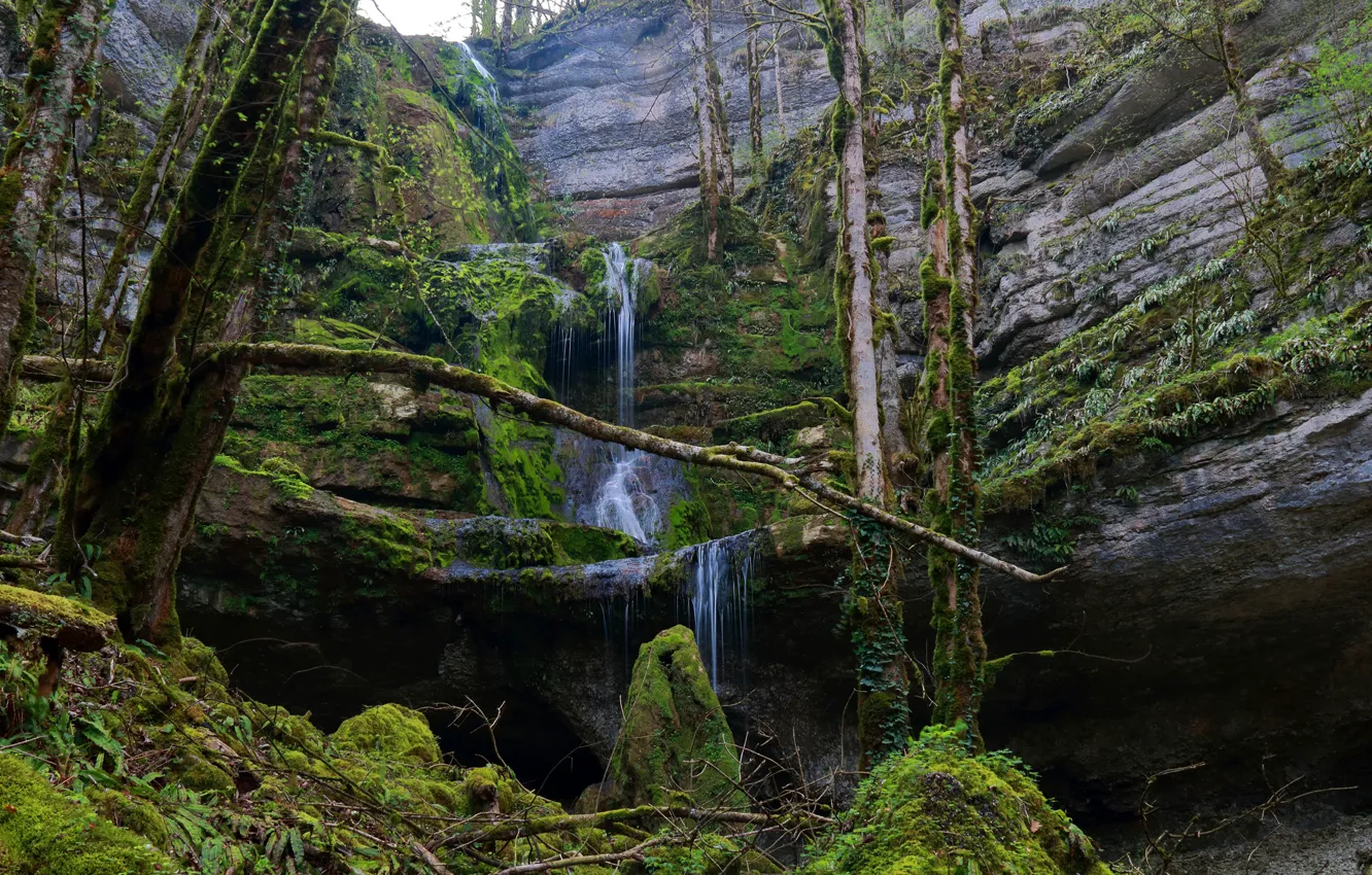 Фото обои лес, деревья, скалы, водопад, мох, Люксембург, Mullerthal Trail
