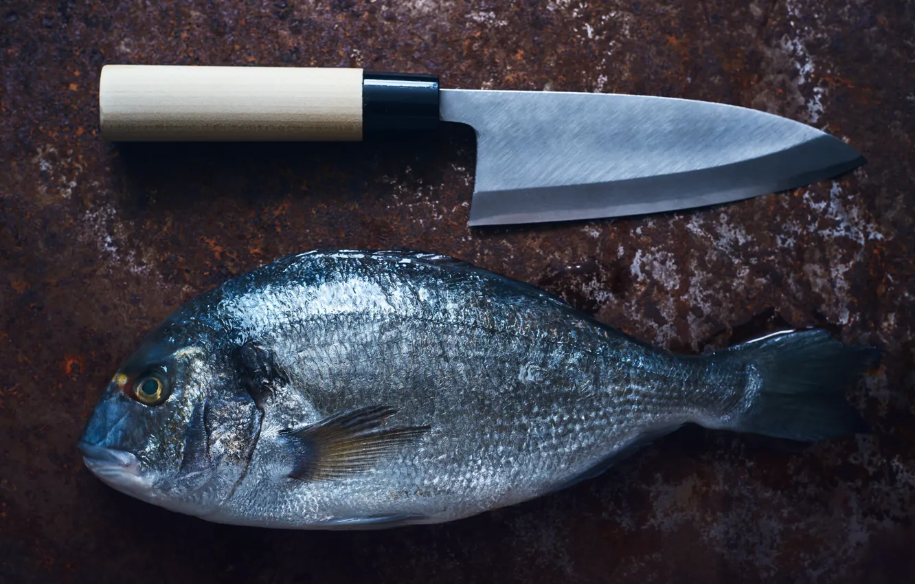 Фото обои рыба, нож, Japanese style