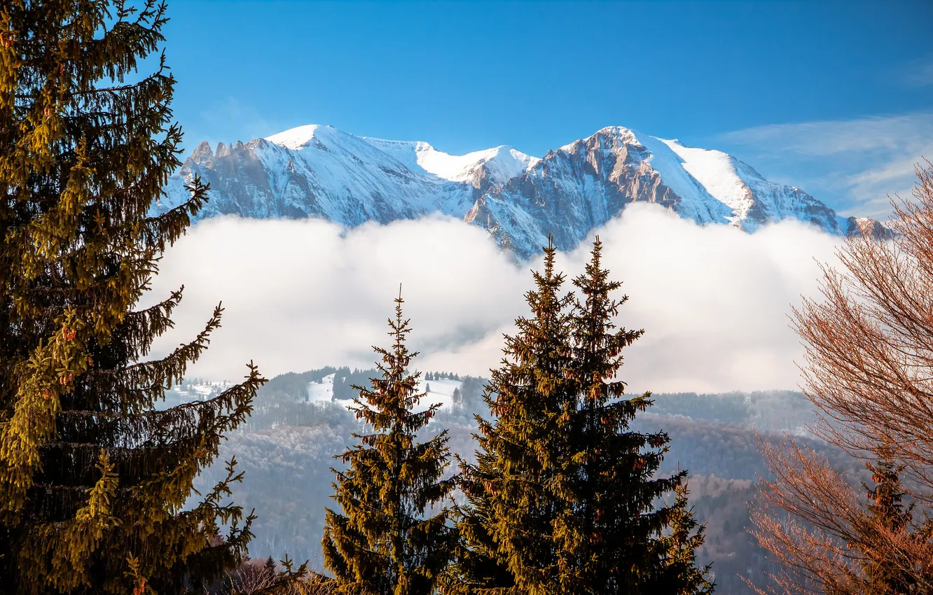 Фото обои облака, снег, деревья, пейзаж, горы