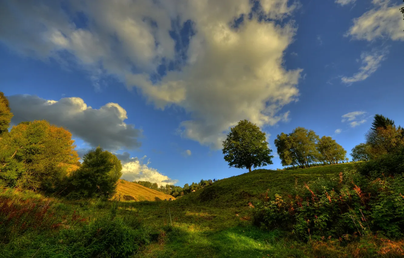 Фото обои небо, трава, облака, деревья, холмы
