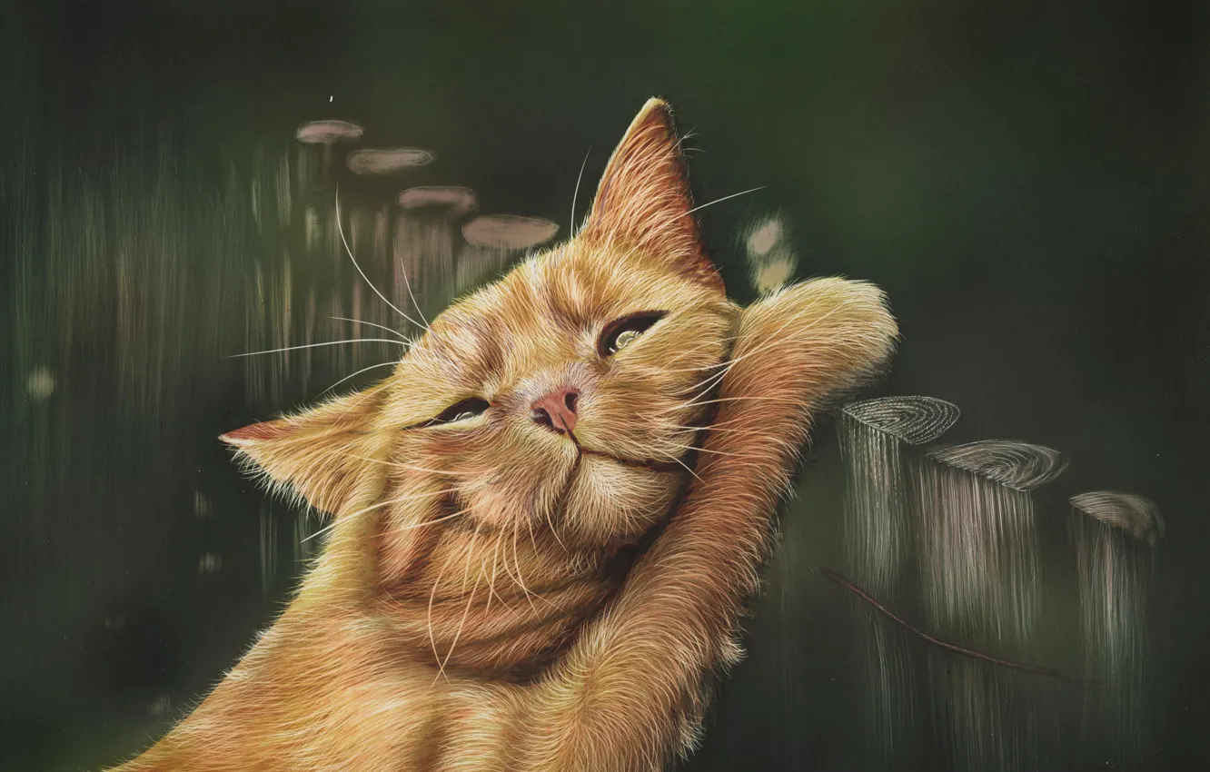 Фото обои кот, рисунок, забор, by shonechacko