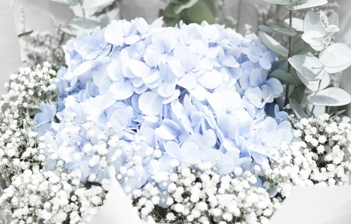 Фото обои цветы, голубой, нежность, букет