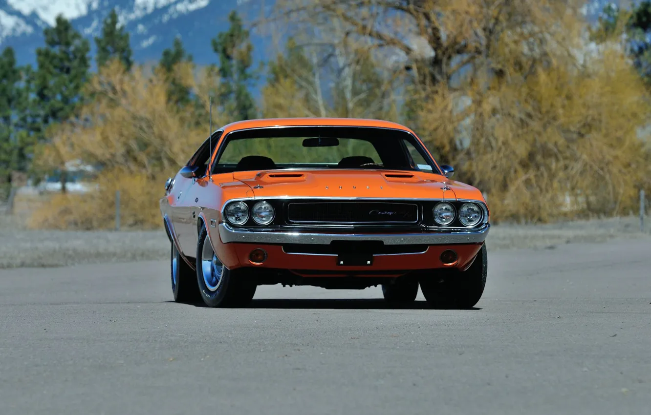 Фото обои Dodge Challenger, Muscle car, Vehicle, Classic vehicle