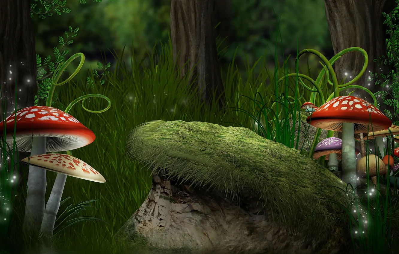 Фото обои лес, трава, грибы, папоротники, мухоморы, forest, Magic, mushroom