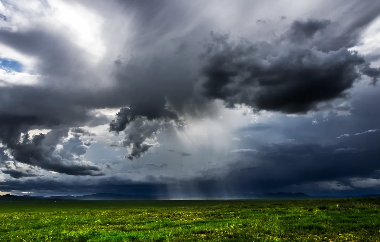 Фото обои поле, пейзаж, тучи, дождь, Mongolia