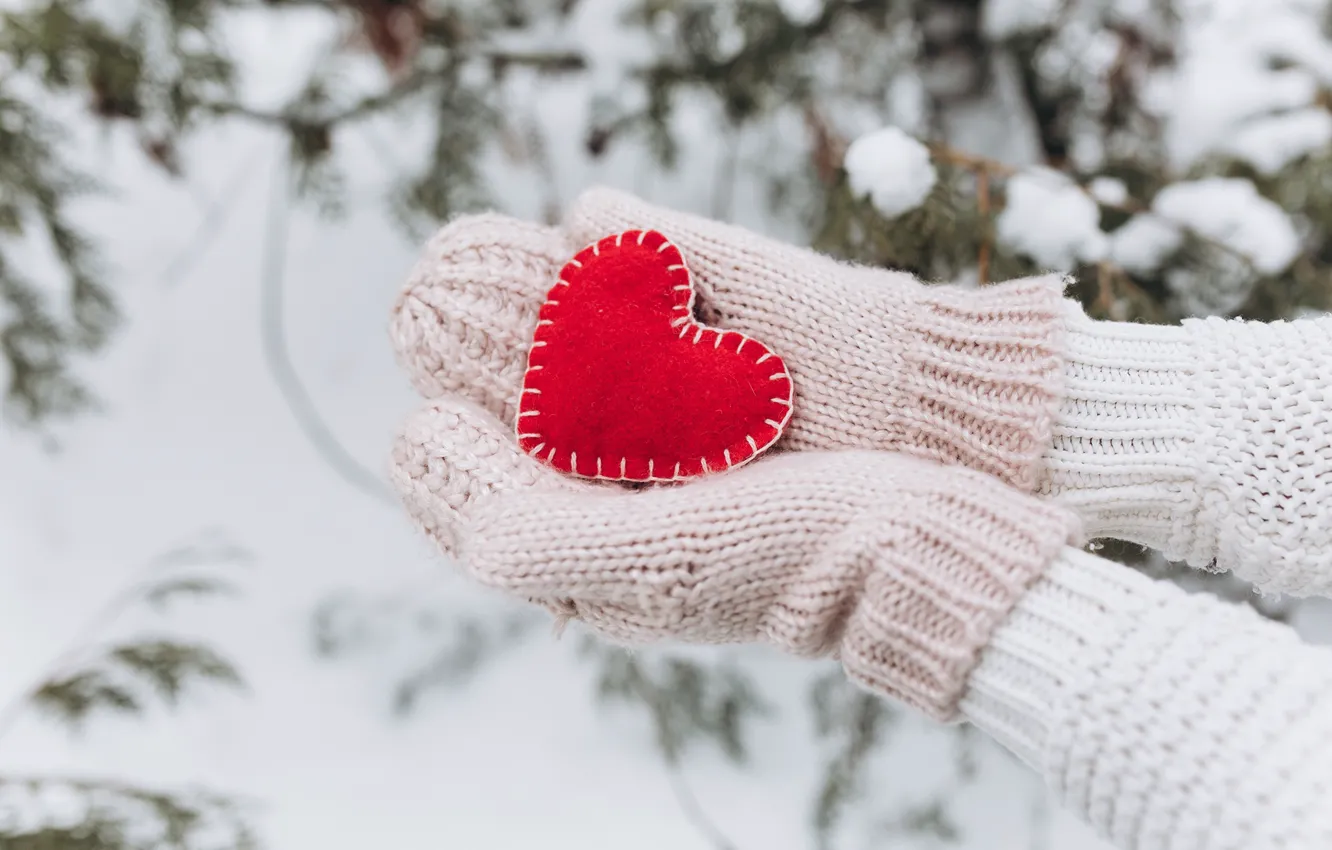 Фото обои зима, сердце, руки, варежки, Valentine's Day